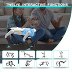 https://cdn.shopify.com/s/files/1/0777/4122/8329/files/smart-dog-multifunctional-toy-c-1391287.jpg?v=1762946355