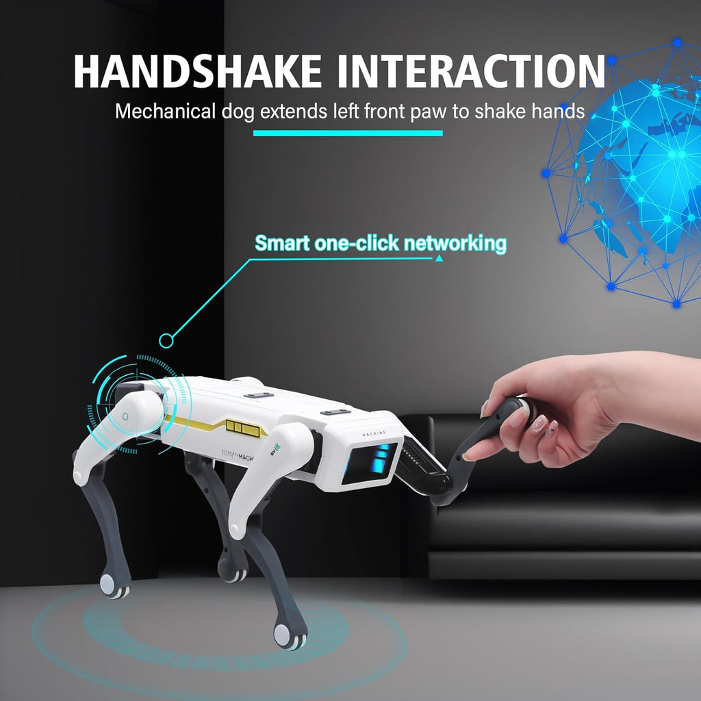 https://cdn.shopify.com/s/files/1/0777/4122/8329/files/smart-dog-multifunctional-toy-c-3921805.jpg?v=1762946355