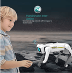 https://cdn.shopify.com/s/files/1/0777/4122/8329/files/smart-dog-multifunctional-toy-c-7023614.png?v=1762946355